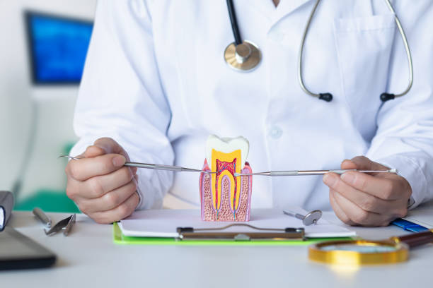 Best Same-Day Emergency Dentist in Delshire, OH